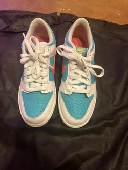 Nike Dunks, Hardly Worn. Big Kid 6Y