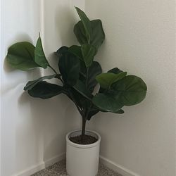 Artificial fiddle leave plant
