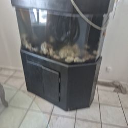 FISH TANK 