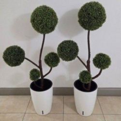*** NEW LOW PRICE *** PAIR of Faux 4-Ball Boxwood Topiaries in 16" White Resin Planters @ Lasting Creations