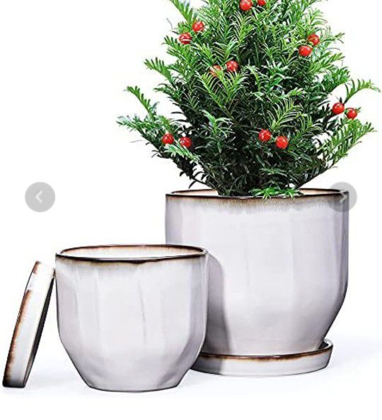 Plant Pots, Set of 2 Ceramic Gardening Pots Planters with Drainage Holes and Saucers (Cream, 7.5 + 5.7") 