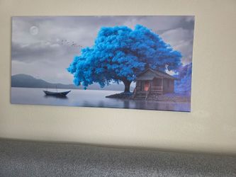 Pictures.