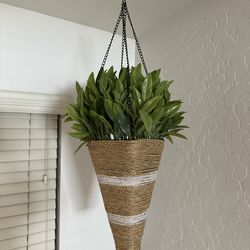Decorative hanging plant
