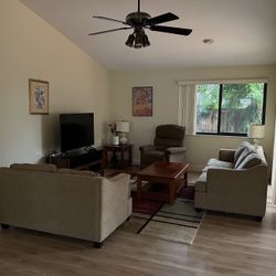 Two Separate Couches 