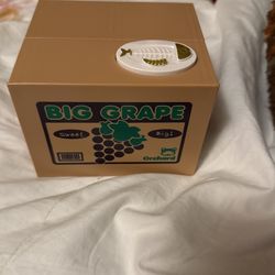Cat Piggy Bank