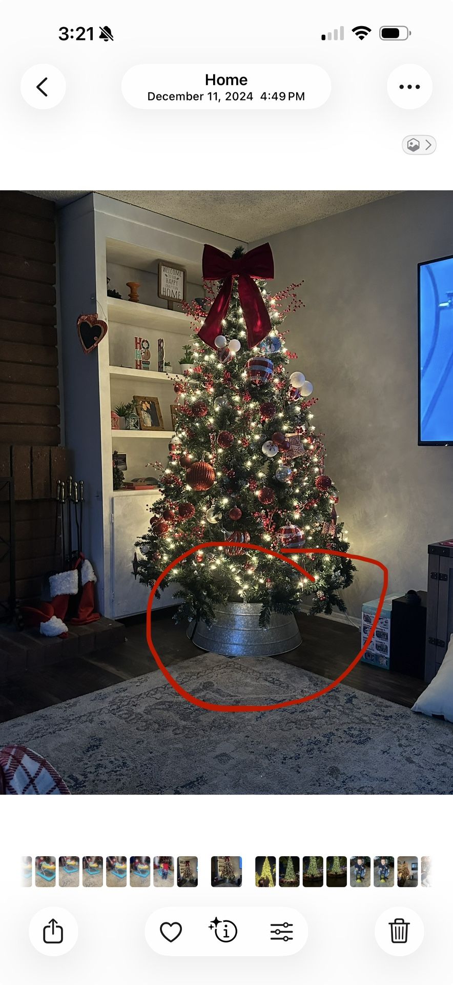 Christmas Tree Collar