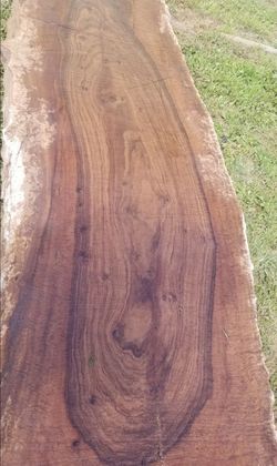 Raw Edge Edge 100 year old Black Walnut Aged Wood