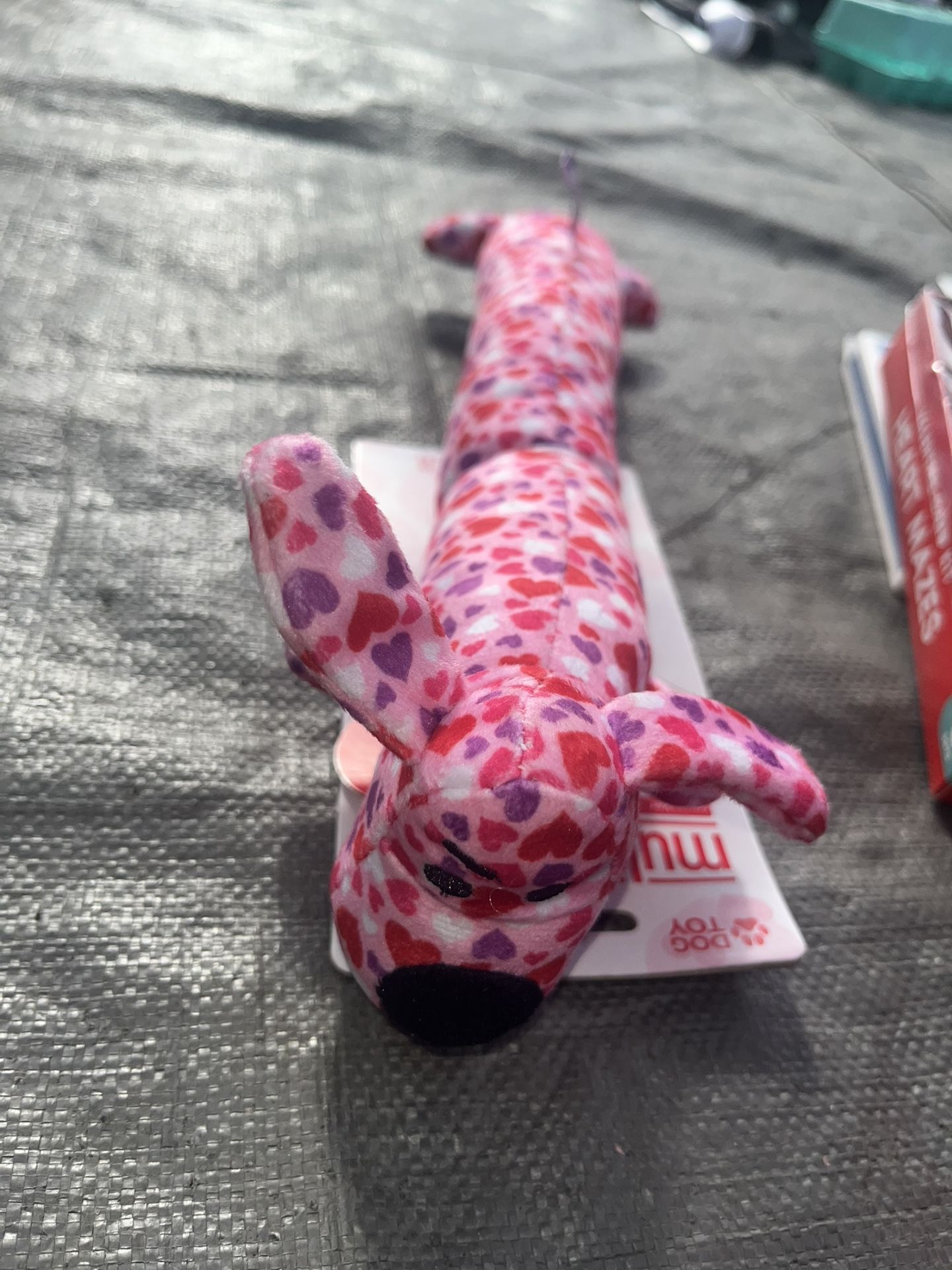 dog toy