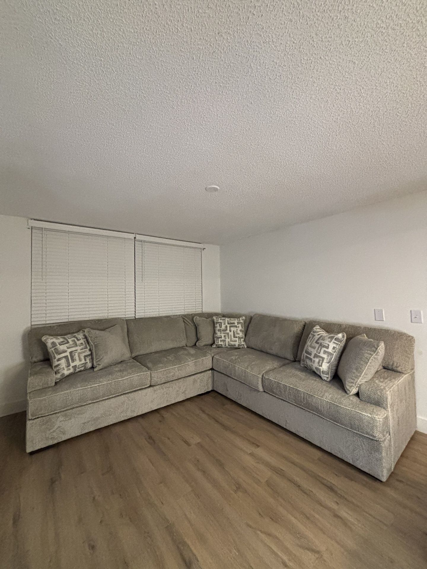Grey Sectional Couch 