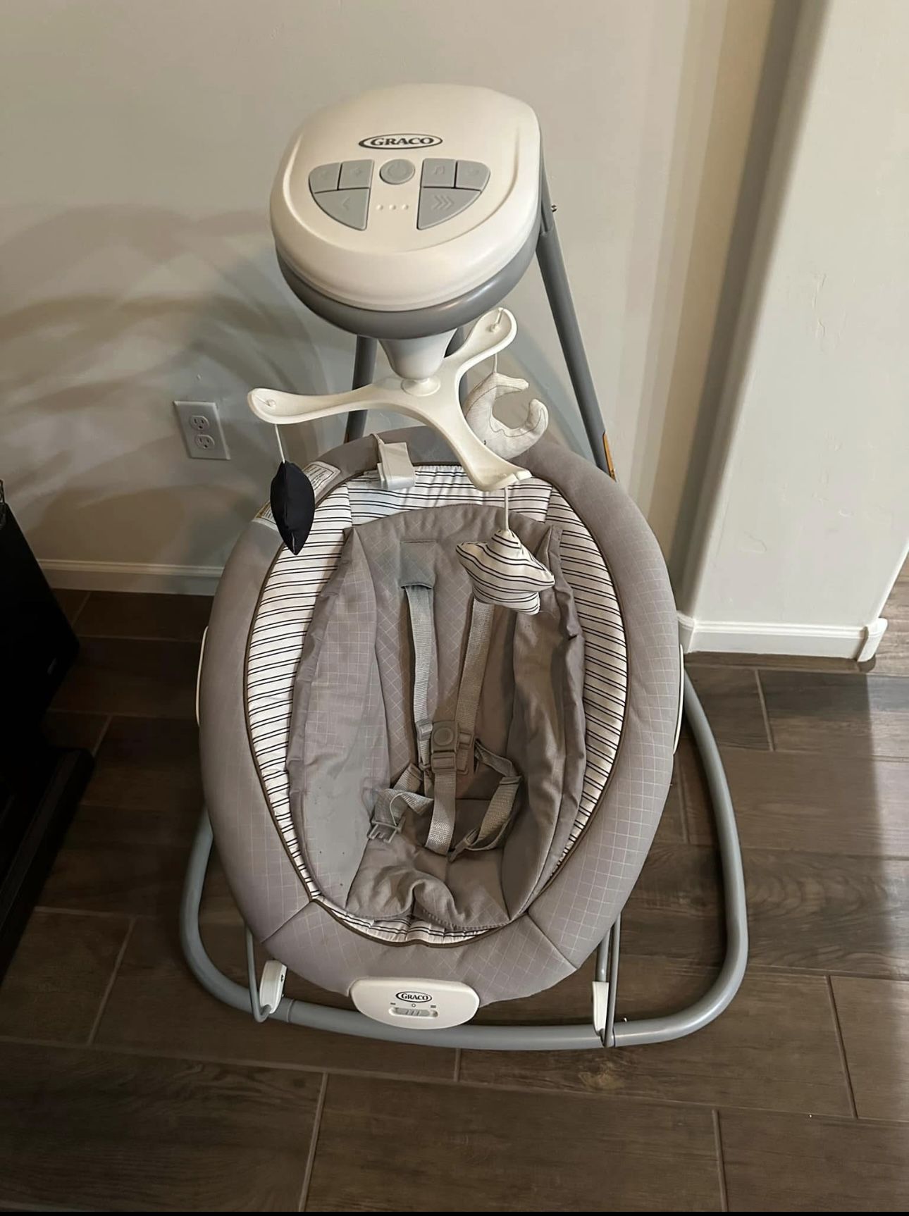 Graco Baby Swing And Bouncer