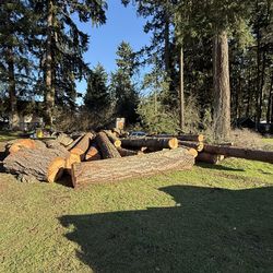Tree logs 8-21 Feet.