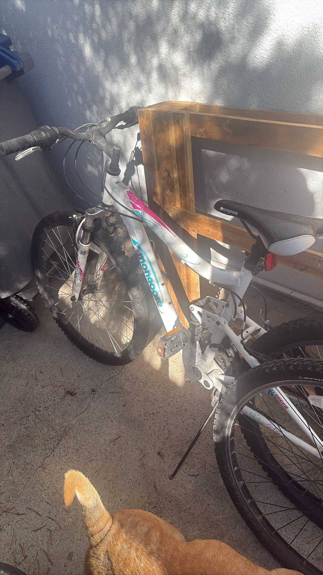 Mongoose Mountain Bike