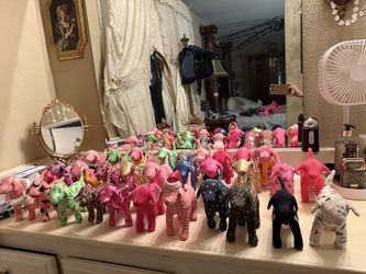 Pink Dog 🐕 collection