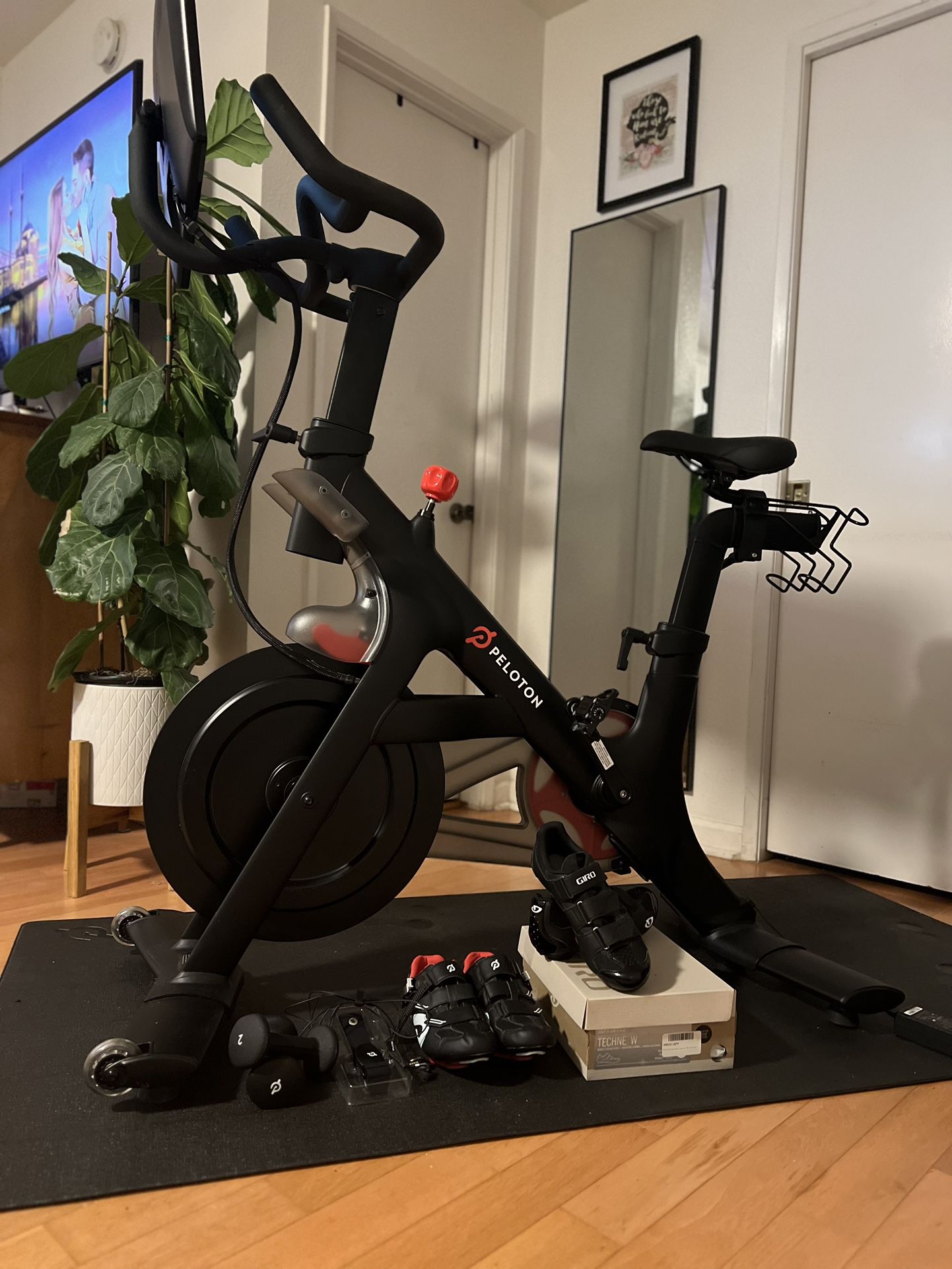 Peloton And Accessories 