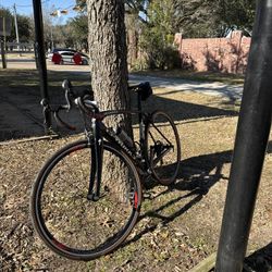 Specialized Carbon Road Bike 52