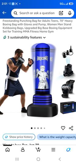 Inflatable Punching Bag