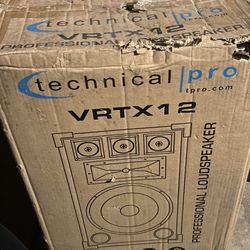 Professional Loud Speaker