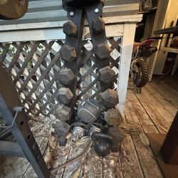 Weight Set 5 - 30 Lbs