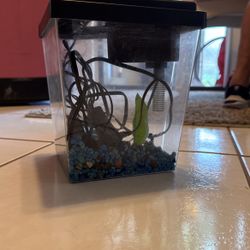 Fish tank