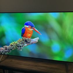 LG - 48" Class A2 Series OLED 4K UHD Smart webOS TV