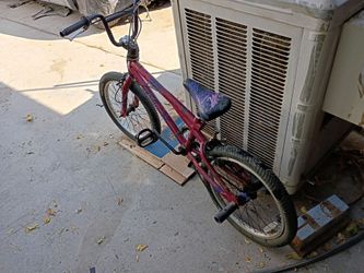 Freestyle bike