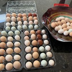 Farm Fresh Eggs $8 A Dozen  Or $15 For 24 Ct