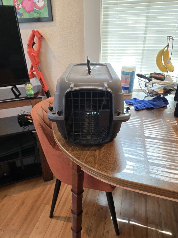 Pet Carrier