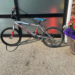Schwinn Super Stock-Brian Foster Factory Design