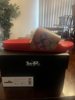 Brand New Pride Coach Pool Slides