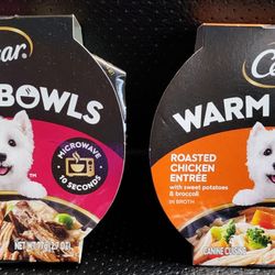Cesar Warm Bowls Wet Dog Food: Chicken & Beef, Roasted Chicken Entrées, 2 x 2.7oz Trays