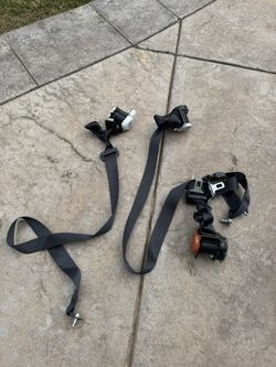 Infiniti Q50 Rear Seat Belts