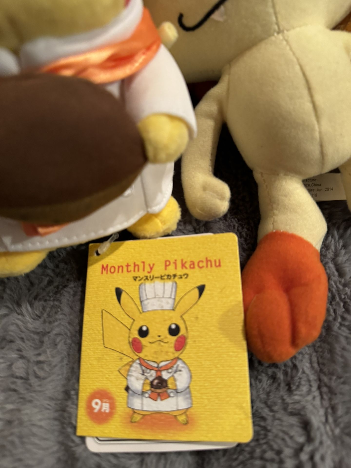 Pokémon Plushie