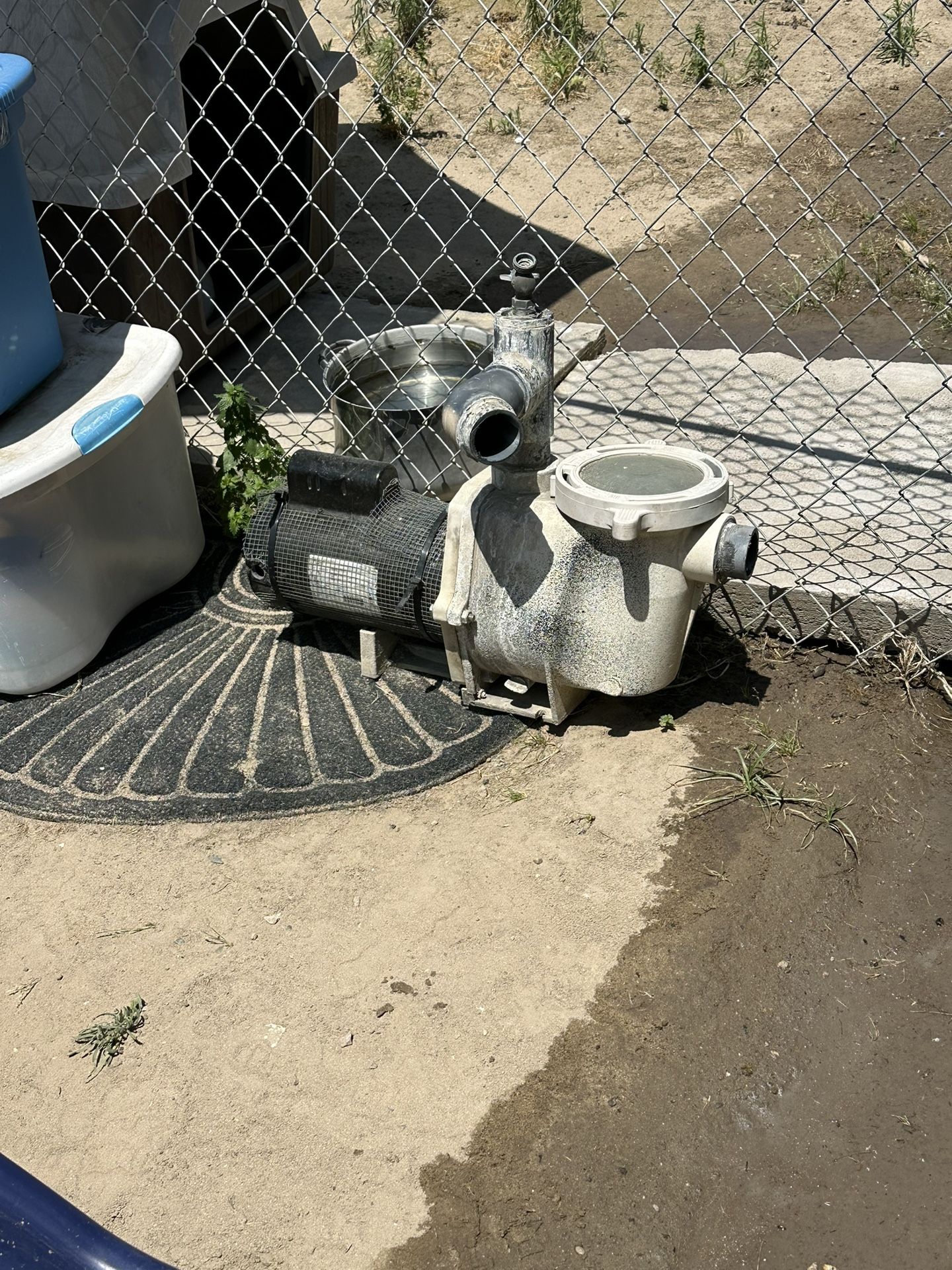 Pool Pump