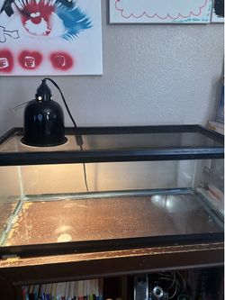 Fish tank and heat lamp