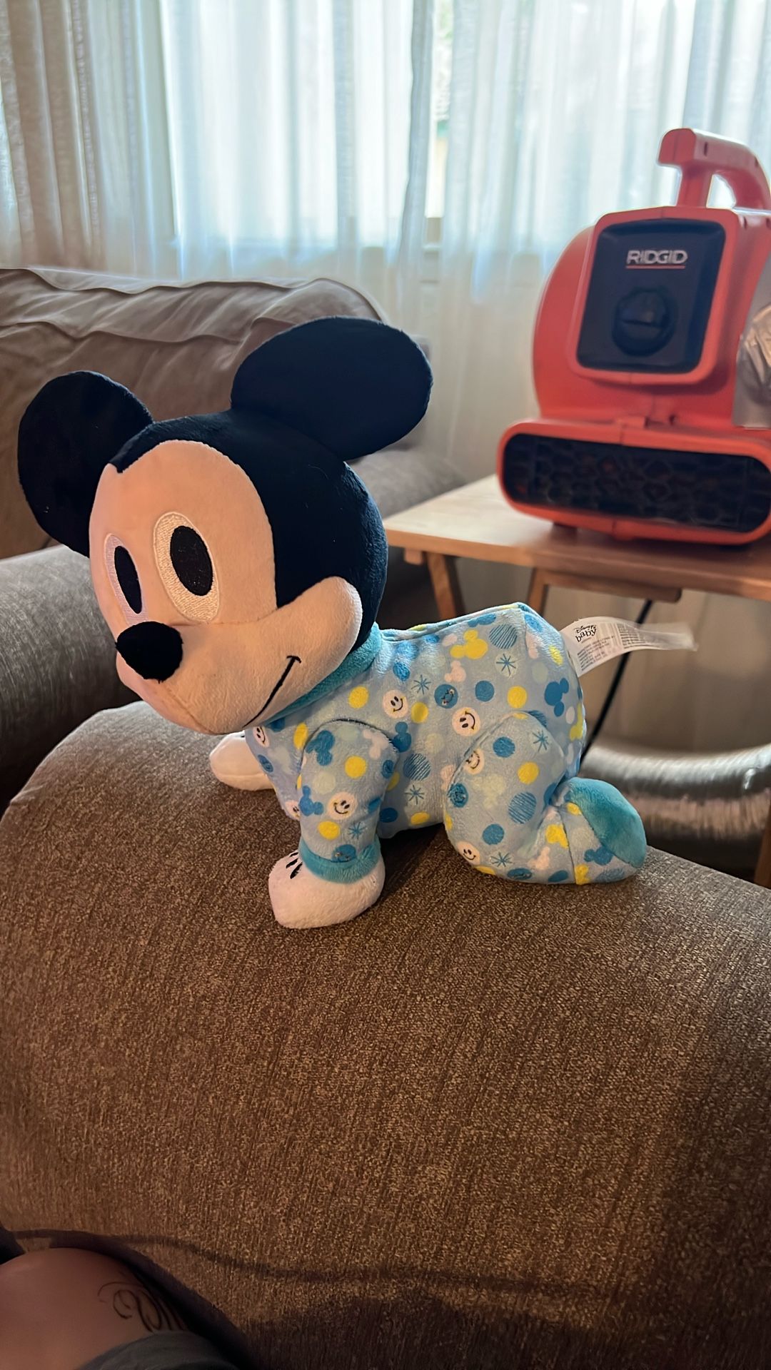 Mickey Mouse