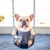 Frenchie