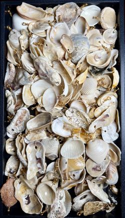 Bulk Lot of Handmade Gold Tone Wire-Wrapped Shell Pendants - Jewelry Making and Resale