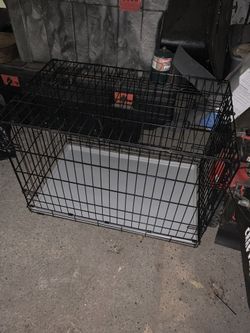 Large dog kennel