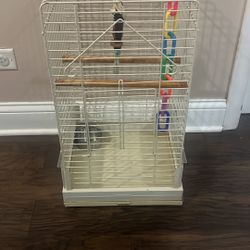 Bird Cage