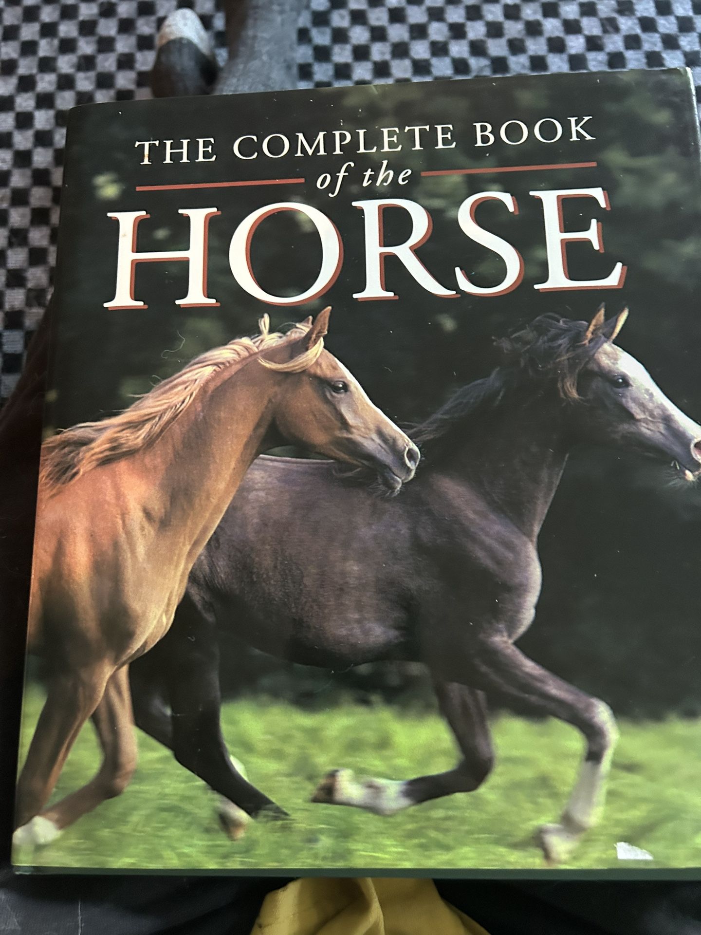 Horse Picture Books