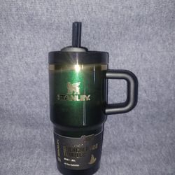 Wicked Stanley 20oz