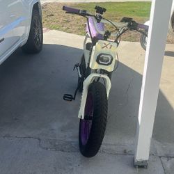 Maxfox Purple 