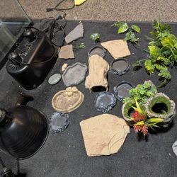 Reptile Supplies 