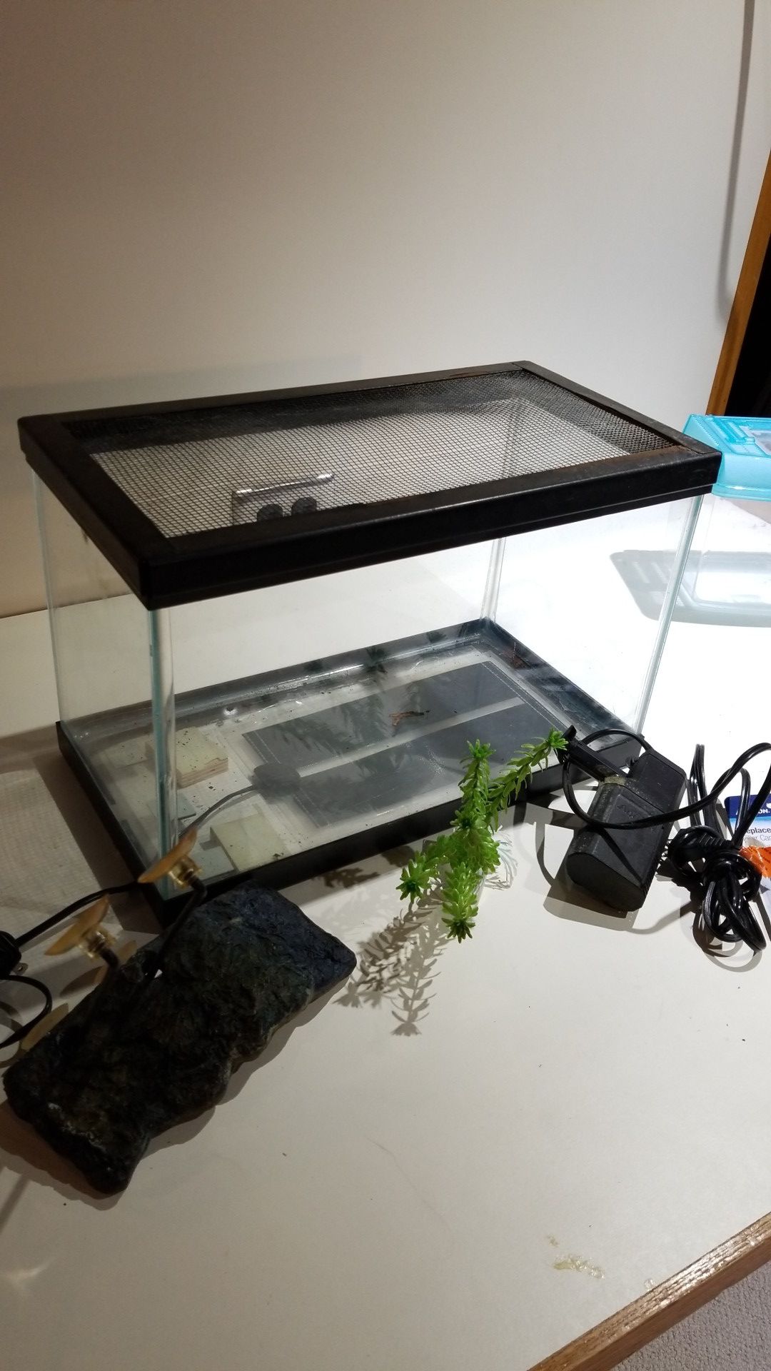 Aquarium 2+ gallon with screen top