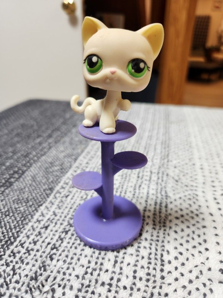 Littlest Pet Shop 98 Shorthair Cat