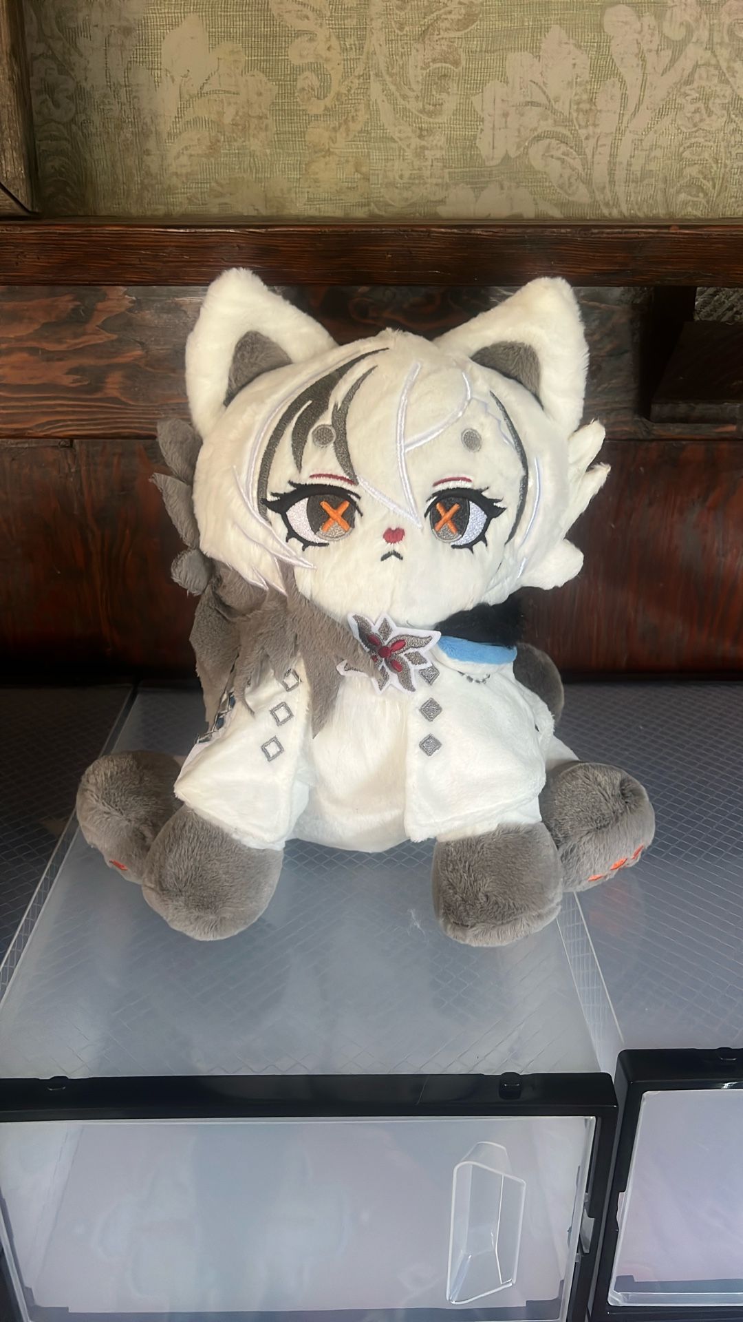 Furina cat