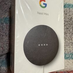 Google Mini Best Speaker (2nd Gen) 