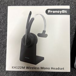 Wireless Bluetooth and USB Headset