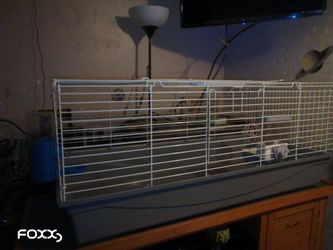 Pet cage with feeder
