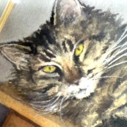 Sweet Fluffy Tabby Cat on Bookshelf Artist Signed Watercolor- Double Matted and Ready to Pop into 8”x 10” Frame 